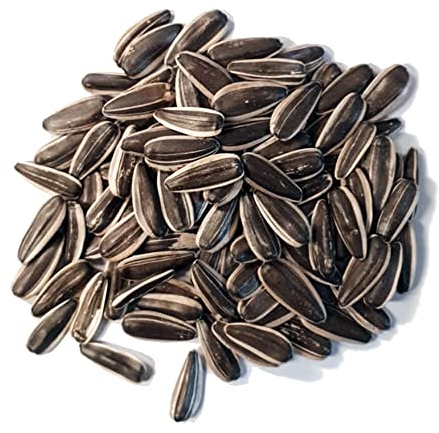 Complemento alimenticio y Premio. Pipa para Loros, cotorras, cacatúas, guacamayos Sunseed 1 Kg