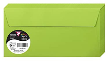 Clairefontaine 120017C - Packung mit 50 Umschlägen Pollen, selbstklebend, Format DL 11x22cm, 120g, Minzgrün, 1 Pack