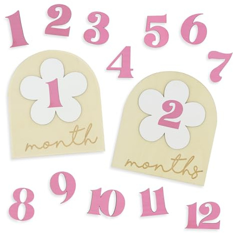 Flower Monthly Baby Milestone Cards, 1-12 Months Interchangeable Month Baby Milestone Signs, Months Baby Milestone Wooden Circles, Baby Announcement Sign, Newborn Photo Props (1-12)
