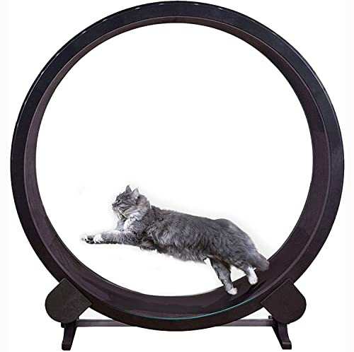 Löpband för katter, Lyxig klätterställning for katter, kattsportleksak