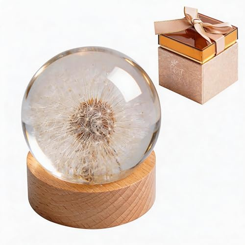 Dandelion Resin Paperweight – Real Wish Ball Keepsake for Home Office Decor