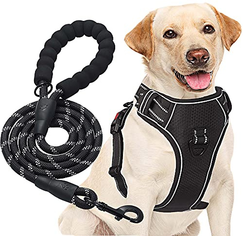 haapaw Arnés para Perro sin Tirar, Ajustable, Reflectante Oxford, fácil de controlar, Mediano y Grande, con una Correa para Perro Resistente
