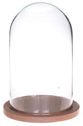 innaGLAS Cloche en Verre HELVIN avec Socle en Bois, Transparent, 25cm, Ø14cm - Bocal en Verre/Cloche décorative