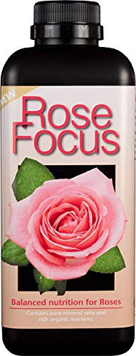 2 x Rose Focus Unique Liquid Concentrated Fertiliser 1 Litre