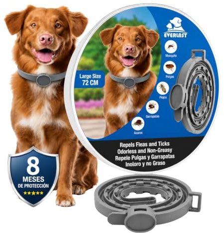 Tempotech ® Collare Antiparasaitario - Cane e Gatti - 8 Mesi di Protezione - contro Pulci, Zecche, Zanzare, Acari e Pidocchi - 100% naturali (Nuova chiusura 72 cm)