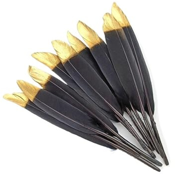 20 pièces/lot d'or noir canard et plumes d'oie artisanat bricolage vase plume d'oie décoration chapeaux accessoires décoration(Red)