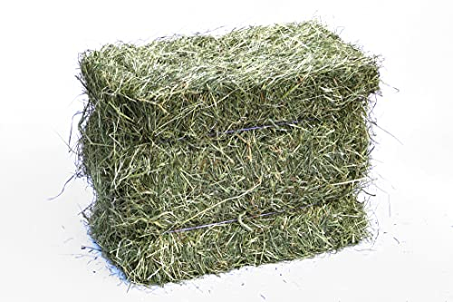 Gebrüder Goller - 10 kg Heuballen für Kaninchen, Meerschweinchen, Hamster und Hasen - Wiesenheu als Kleintierheu und Deko - Direkt aus Bayern