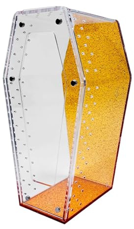 Generic Terrario para arañas saltarinas, jaula con puerta delantera, pequeño acuario para cría, naranja