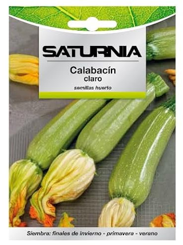 SATURNIA Semillas Calabacin Claro (5 Gramos) Semillas Verduras, Horticultura, Horticola, Semillas Huerto.