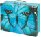 Baagl Kinderkoffer für Spielzeug und Schulbedarf, Pappkoffer, Spielzeugkoffer, Spielkoffer, Faltbarer Kinder Koffer, Faltkoffer, Klappkoffer mit Metalgriff (Butterfly)