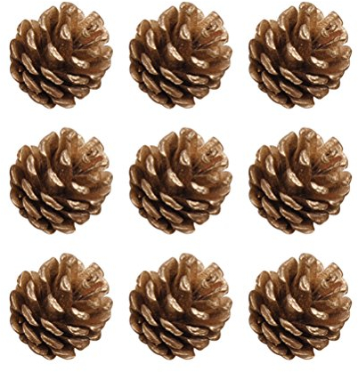 YeahiBaby Lot de 9 pommes de pin naturelles - 4 cm - Dorées