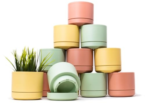 QILZO Mini Macetas Plástico Plato Incorporado 10,5cm, Pack 12 Maceteros para Cactus y Suculentas, Tiestos para Plantas Interior, Macetas Pequeñas Decorativas Modernas (12 x Pastel 10,5cm)