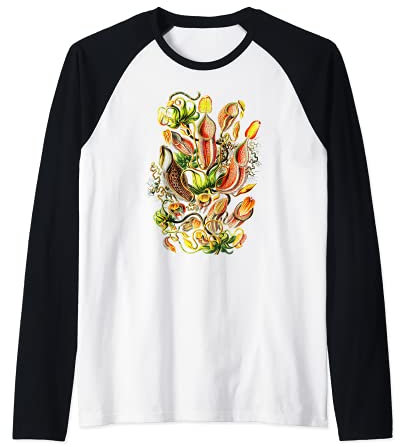 Plante carnivore Vintage Plantes à pichets botaniques Manche Raglan