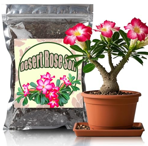 Doter Organic Desert Rose Potting Soil Mix for Healthy Growth 4qt - 100% Natural Potting Mix - Specially Formulated Nutrient-Rich Plant Soil for Desert Rose Plant