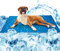Zellar Dog Cooling Mat Large 90x50cm, Scratch-resistant Durable Pet Cool Mat Non-Toxic Gel Self Cooling Pad for Dogs Cats, Keep Pets Cool in Hot Summer, Double-Sided Use for Kennel Crate Home Travel
