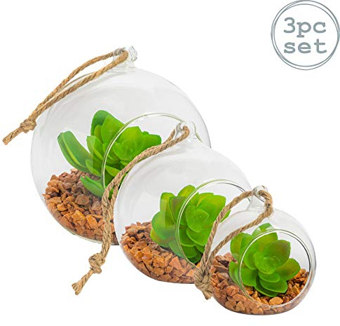Nicola Spring Hanging Glass Terrarium - 3 Sizes - Open Terrarium Pot Planter for Indoor Outdoor Home Garden Succulent, Cacti, Ferns, Plants Hanging Tabletop Displays