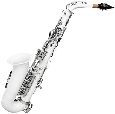 Professionell Saxofon Komplett set för E nybörjare för altsaxofon med fodral munstyckesrem rörbladsrengöringsduk tillbehör