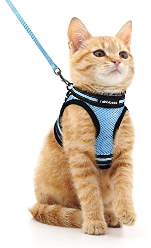 rabbitgoo Pettorina Gatto Antifuga, Guinzaglio Gatti Regolabile, Imbracatura Ultra-Leggero Morbido Riflettente per Cucciolo, Gattini e Gatto Piccolo, Pettorina per Passeggio e Corsa, M, Azzurro