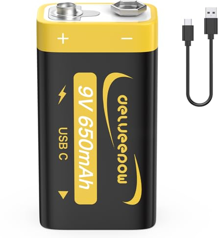 Delyeepow Baterías de Litio Recargables de 9V, 650mAh con Cable de Carga USB-C, Baterías de Alta Capacidad 6F22 para Detectores de Humo, Guitarras Eléctricas, Micrófonos, Walkie-talkies y más