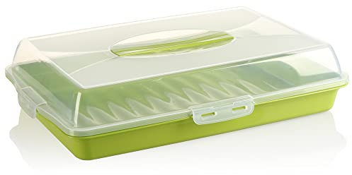 com-four® Kuchenbehälter - Transportbox für Kuchen und Lebensmittel - Aufbewahrungsbehälter mit Deckel und Tragegriff - Serviertablett grün (01 Stück - Design 2 grün)
