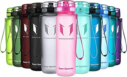 Super Sparrow Bouteille d'eau - Gourde - 500ml - sans BPA - Convient pour Le Sport, la randonnée, l'école, Le Bureau, en Plein air