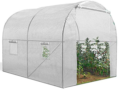 IDMarket - Serre Tunnel de Jardin 6M² Blanche Gamme maraîchère Roma 2x3M
