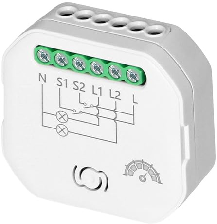 Smart Wi-Fi 2,4 GHz ricevitore a 2 canali con dimmer, relay, compatibile con Alexa, Google Home, controllo vocale, LED adatto
