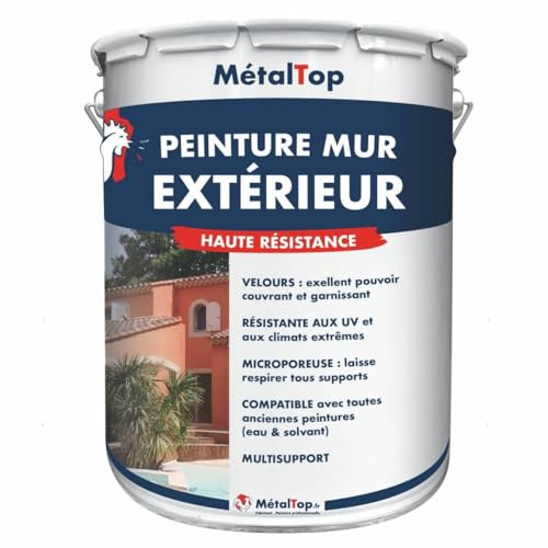 Metaltop - Peinture Mur Exterieur - Jaune ocre - RAL 1024-5 L - Peinture microporeuse, application sur crépi, béton, brique pour une protection jusqu'à 10 ans
