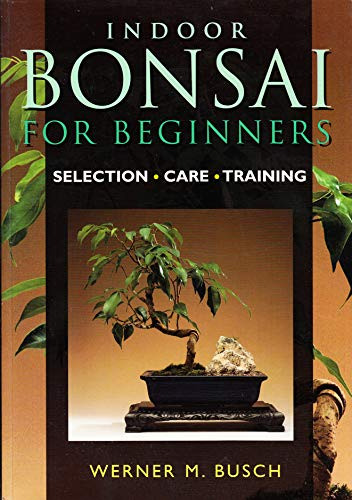 Indoor Bonsai for Beginners: selection, care, training