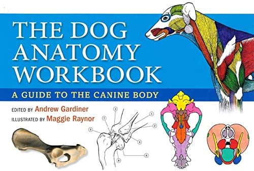 The Dog Anatomy Workbook: A Guide to the Canine Body