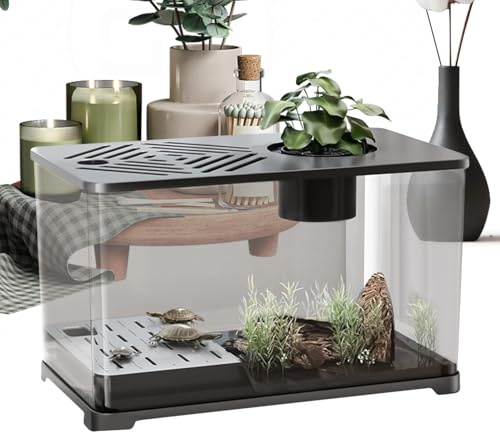Akvariefisk Tank Stort Akvarium Starterkit