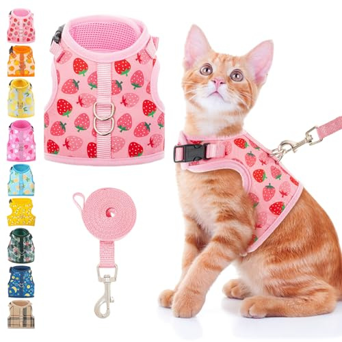 BINGPET Cat Harness with Leash Escape Proof - Fashionable Mesh Cat Dog Walking Harness Leads, Adjustable for Kitties Puppies Small Animals