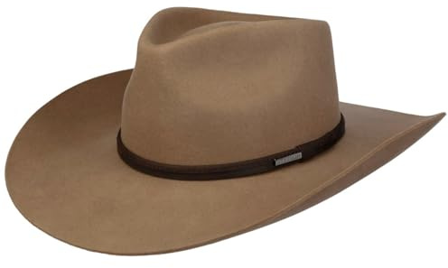 Stetson Evansville Westernhut Cowboy Wollfilz Ledergarniturband Herren Herbst Winter braun L (58-59 cm)