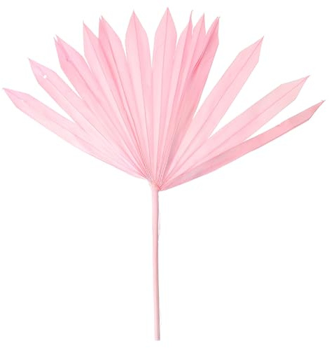 OSALADI Decorazione da Parete Foglie di Palma Essiccate Rosa, Composizione Floreale Decorativa per Matrimoni e Feste, Ornamento Naturale per Interni ed Esterni, Forniture Fai da Te