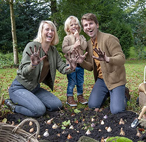 Collection de bulbes de lys de Calla Pink and White, 10 bulbes de Zantedeschia, 2 variétés, 5 de chaque couleur, idéal comme plante en pot et plante de jardin