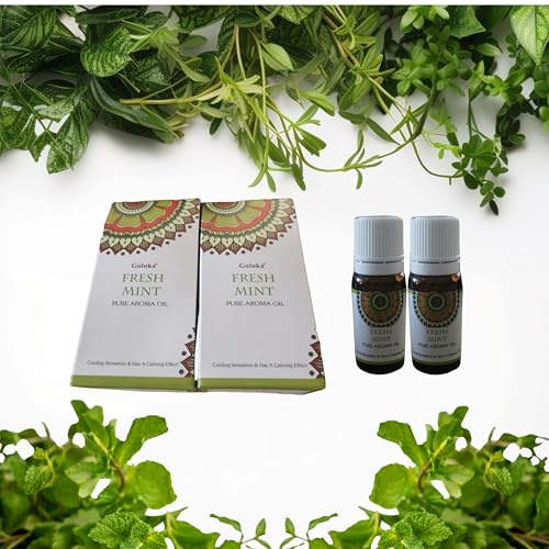 Aceite Esencial de 20 ml Quemador De Incienso- Ambientadores De Hogar- Esencias para Humidificador- Aceites Esenciales de Fragancias Naturales (Pack 2, Menta)