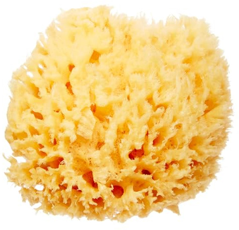 HartFelt Delicate Skin Wool Sea Sponge 4 in | Real Natural Sponges for Body and Face Gentle Care | Luxurious Lather