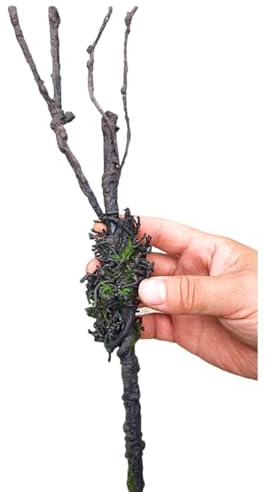 Qsvbeeqj Terrarium pour aquariums, reptiles, vigne grimpante, plantes, aquariums, terrarium pour amphibiens, lézards, serpents, escalade, fournitures pour animaux domestiques