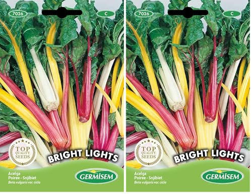 Germisem Bright Lights Semillas de Acelgas 3 g, EC7026 (Paquete de 2)