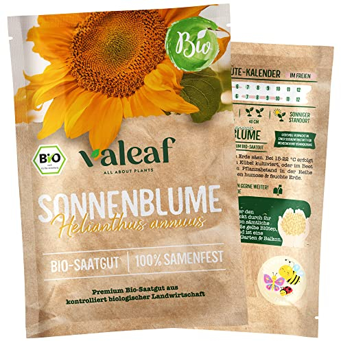 valeaf BIO Blumen Samen I Premium Blumensamen zur Blumen Anzucht I Bunte Blumenwiese für Garten, Balkon I samenfestes Blumen Saatgut I Pflanzen Samen zum Blumen Pflanzen (Sonnenblume (BIO))
