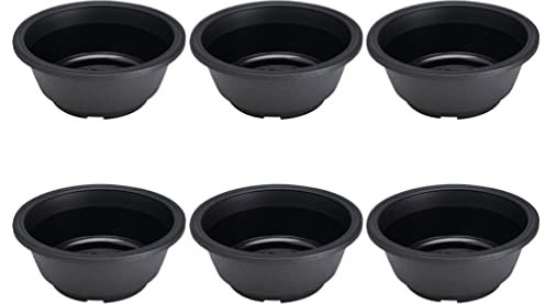 6 Pz Vaso Da Fiori in Plastica Aiuole Domestiche Piccoli Vasi Per Piante Fioriera Autoirrigante Ciotola Di Piante Grasse Vasi Da Fiori Da Giardino Mini Succulente Recipiente Pianta