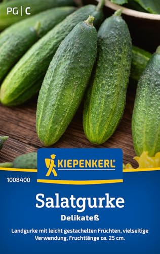 Kiepenkerl Salatgurkensamen Delikateß 1008400 - Landgurke - Fruchtlänge ca. 25cm - Inhalt für 60 Pflanzen - Gemüsesamen, Samen Gemüse, Saatgut, Gemüsepflanzen