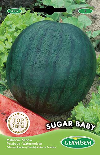 Germisem Sugar Baby Semillas de Sandía 3 g