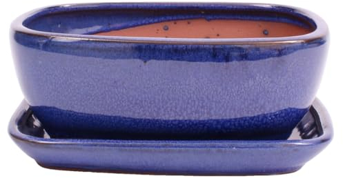 Bonsai-Shopping Bonsai - Schale eckig 21.5 x 16.5 x 8.5 cm, blau, mit Untersetzer 23194