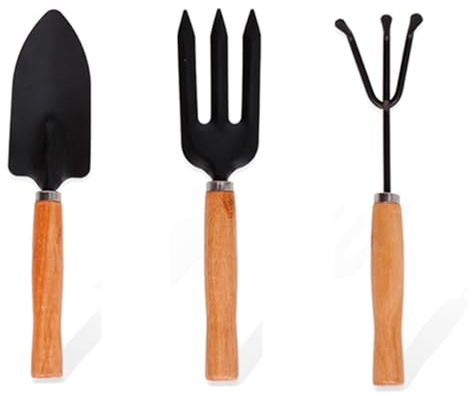 Juego de mini herramientas de jardín de acero con mango ergonómico de madera, pala, rastrillo y tenedor, herramientas para jardinería, huerto, flores, horticultura