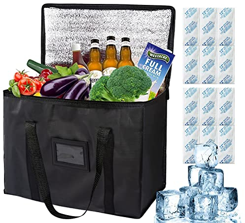 Yitla 20L Cool Bag,Large Insulated Cooler Bags with 12pcs Ice Bag,Easy to Carry Capacity Lunch Bag Picnic Bag for Camping Beach Family Activitives