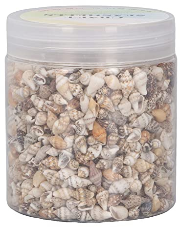 Jeffergarden Mini Coquillages en Spirale, Coquilles de Conques, Matériau Naturel, Décoration Polyvalente pour l'artisanat, la Décoration sur Le Thème de la Plage et l'utilisation d'aquarium