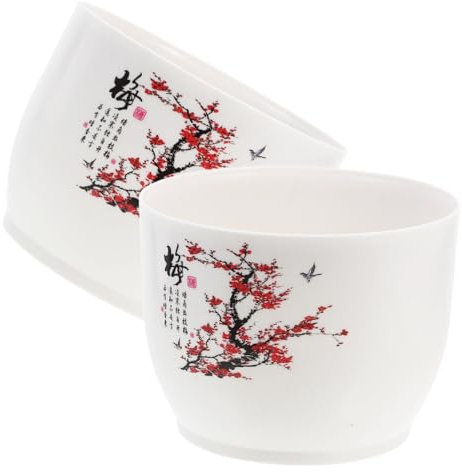 Toyvian 2pezzi Idroponico in Plastica Fioriera Ciotola Per Narcisi Da Decorativo Da Balcone Esterno Contenitore Pianta Facile Manutenzione Riutilizzabile