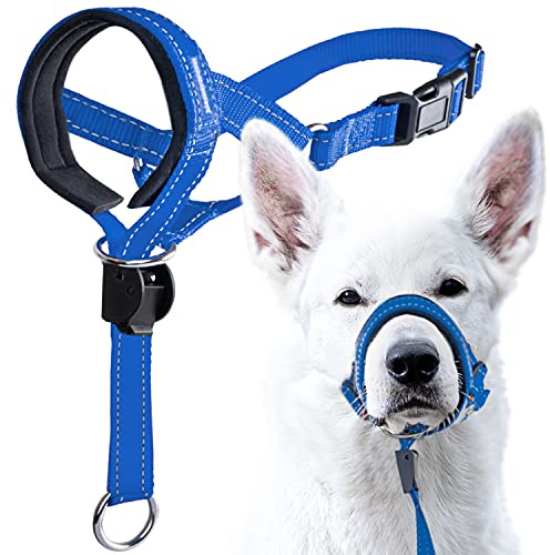 GoodBoy Dog Head Halter with Safety Strap - Stops Heavy Pulling On The Leash - Padded Headcollar for Small Medium and Large Dog Sizes - Head Collar Training Guide Included (Size 1, Blue Nylon)