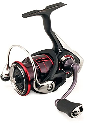 Daiwa Angeln Fuego LT 1000
